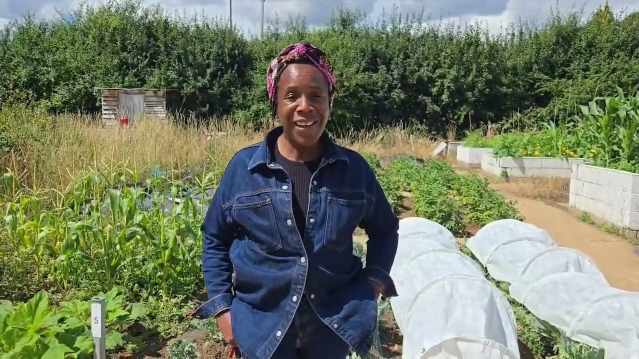 youtube placeholder image